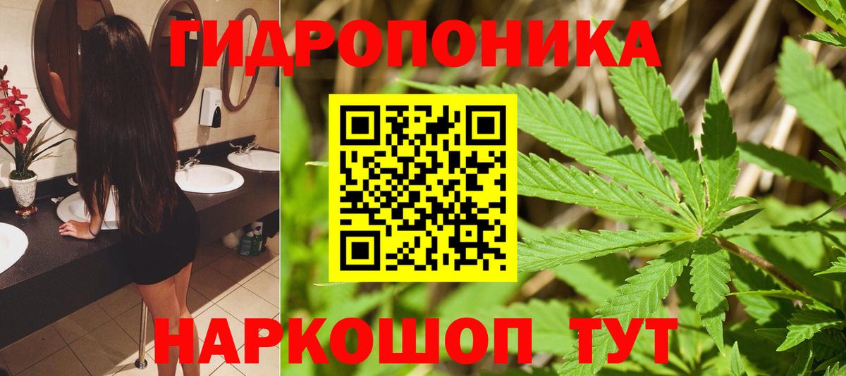 Марихуана White Widow  Вход с VPN  Марихуана марихуана  Ханты-Мансийск  Бошки Шишки сатива  Шишки марихуана планчик 